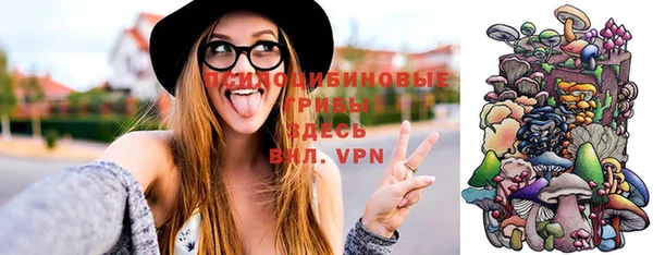 молекула духа Абинск