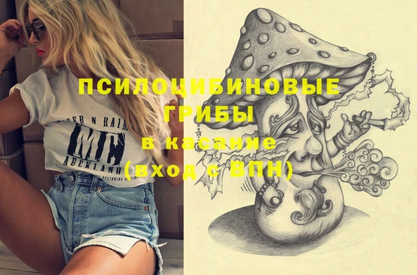молекула духа Абинск