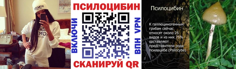 Галлюциногенные грибы Cubensis Тарко-Сале